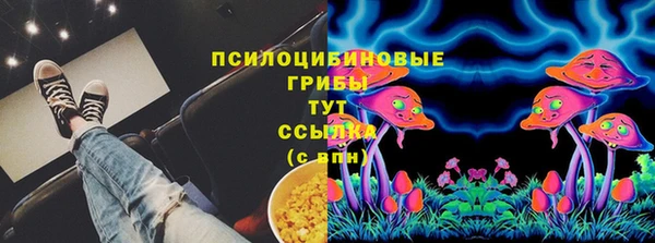 первитин Каменка