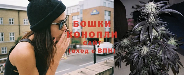 первитин Каменка