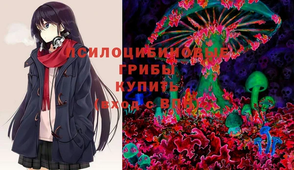 первитин Каменка