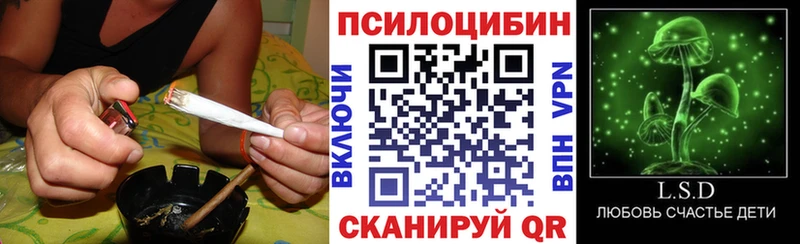 Купить где  Таштагол  Галлюциногенные грибы MAGIC MUSHROOMS 