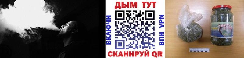 Марихуана план  Купить где  Таштагол 